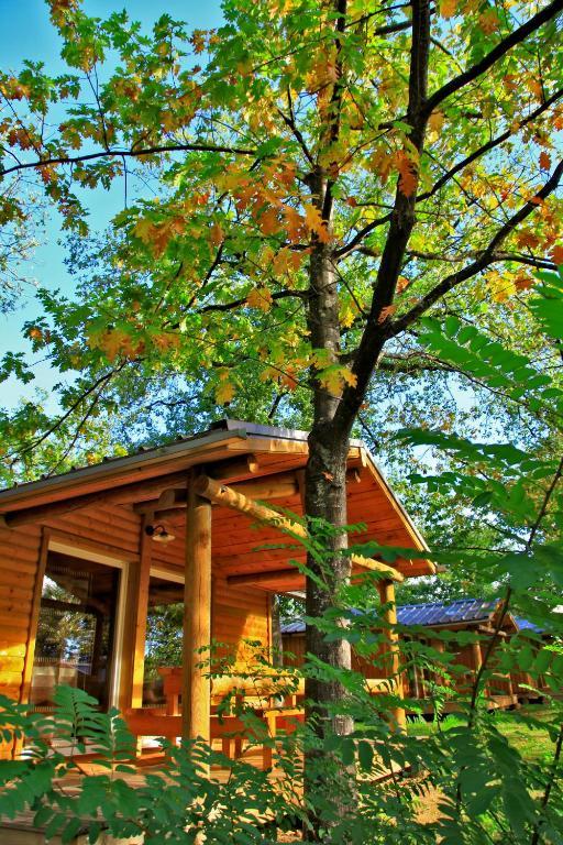 Albirondack Camping Lodge & Spa Værelse billede